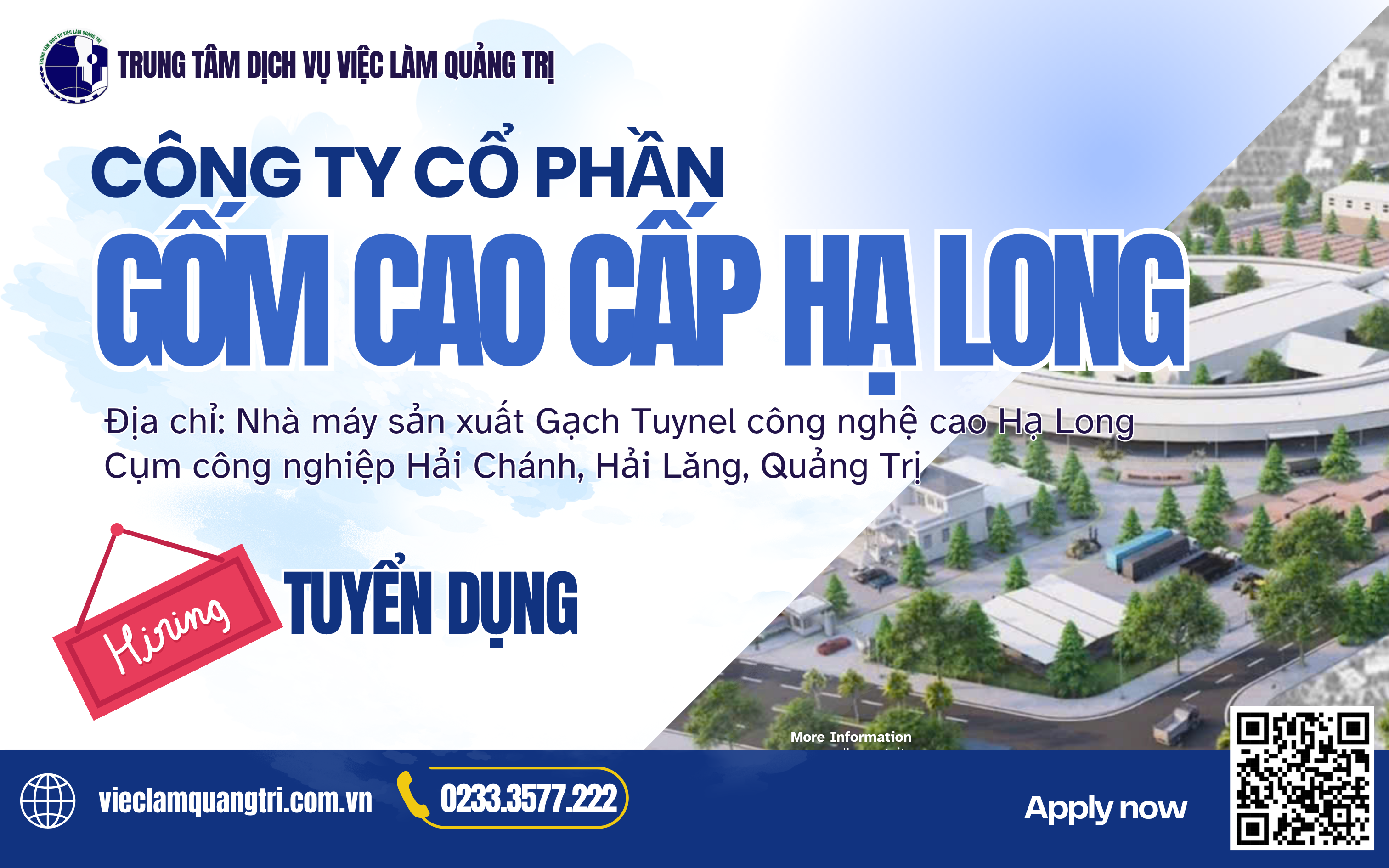 Hoạt động công ty 1